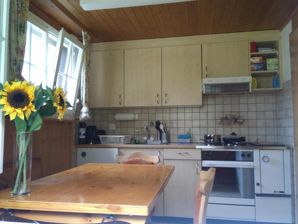 Ferien Cottage Flueehblueemli Stechelberg Eksteriør billede
